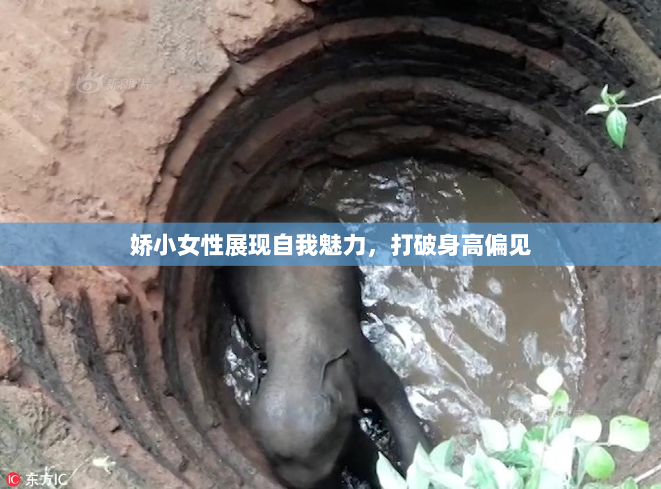 娇小女性展现自我魅力，打破身高偏见