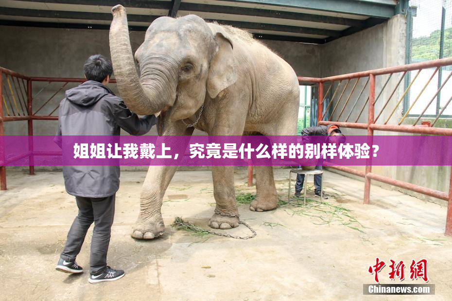 姐姐让我戴上，究竟是什么样的别样体验？