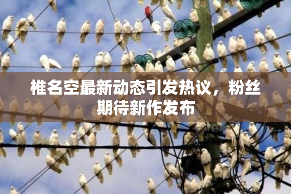 椎名空最新动态引发热议，粉丝期待新作发布