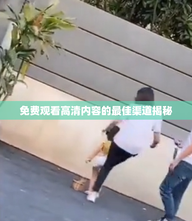 免费观看高清内容的最佳渠道揭秘