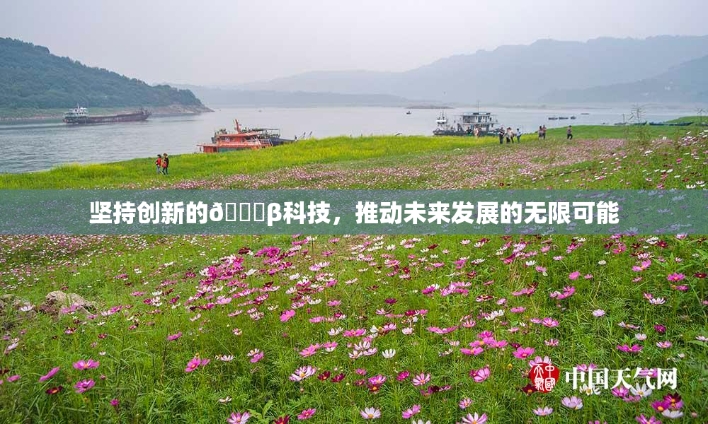 坚持创新的🔞β科技，推动未来发展的无限可能