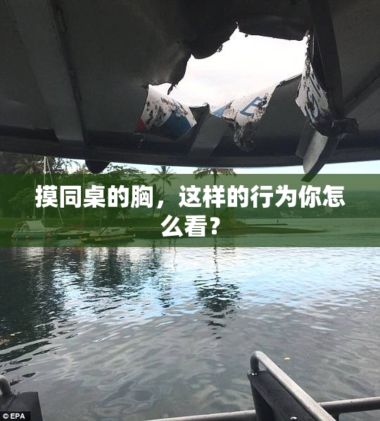 摸同桌的胸，这样的行为你怎么看？