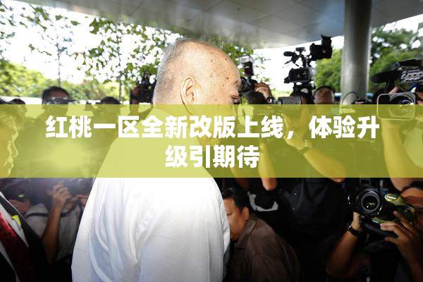 红桃一区全新改版上线，体验升级引期待