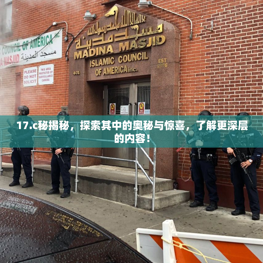 17.c秘揭秘，探索其中的奥秘与惊喜，了解更深层的内容！