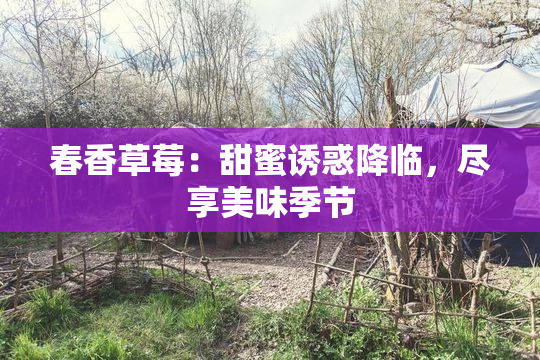 春香草莓：甜蜜诱惑降临，尽享美味季节