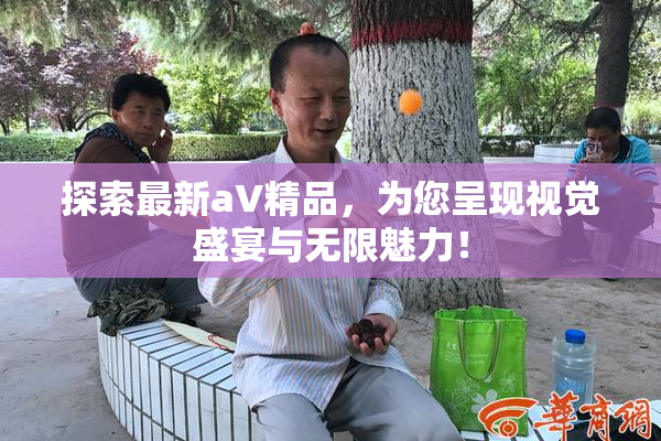 探索最新aV精品，为您呈现视觉盛宴与无限魅力！
