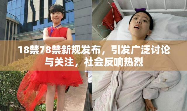 18禁78禁新规发布，引发广泛讨论与关注，社会反响热烈