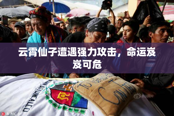 云霄仙子遭遇强力攻击，命运岌岌可危