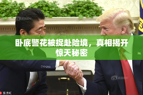 卧底警花被捉赴险境，真相揭开惊天秘密