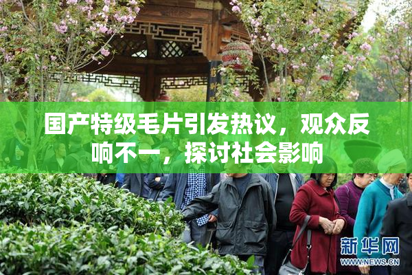 国产特级毛片引发热议，观众反响不一，探讨社会影响
