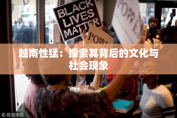 越南性猛：探索其背后的文化与社会现象