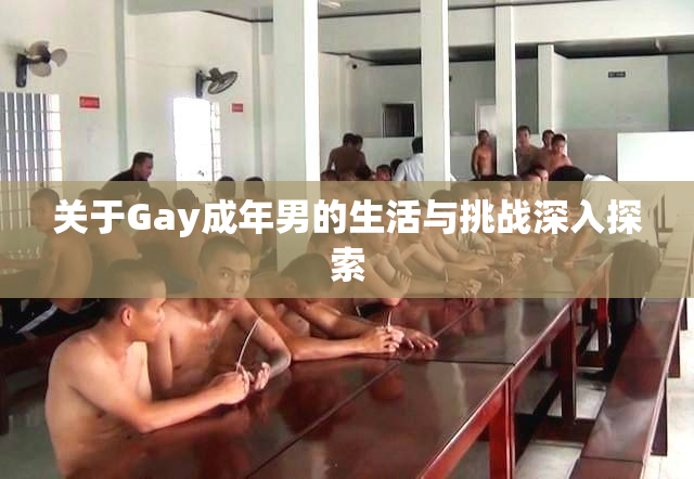 关于Gay成年男的生活与挑战深入探索