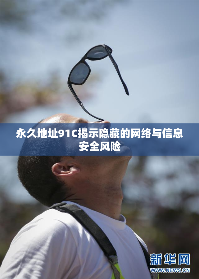 永久地址91C揭示隐藏的网络与信息安全风险
