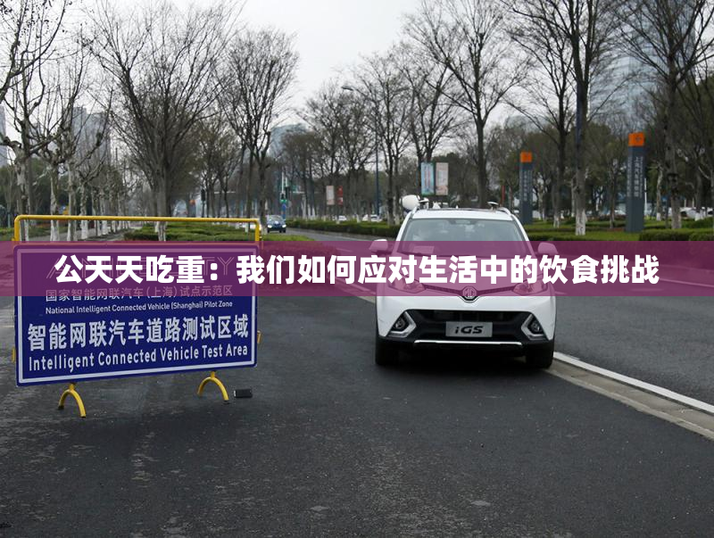 公天天吃重：我们如何应对生活中的饮食挑战