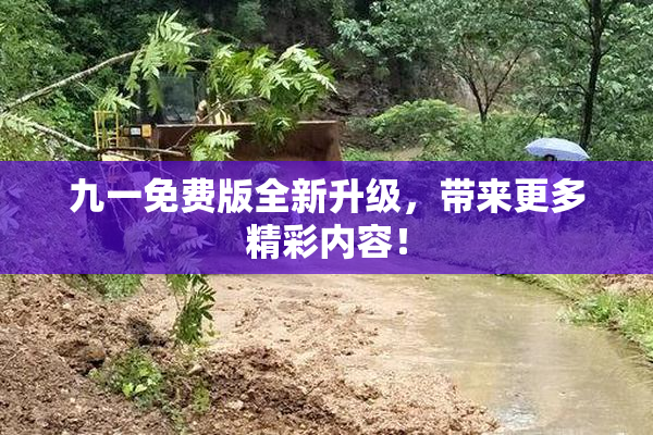 九一免费版全新升级，带来更多精彩内容！