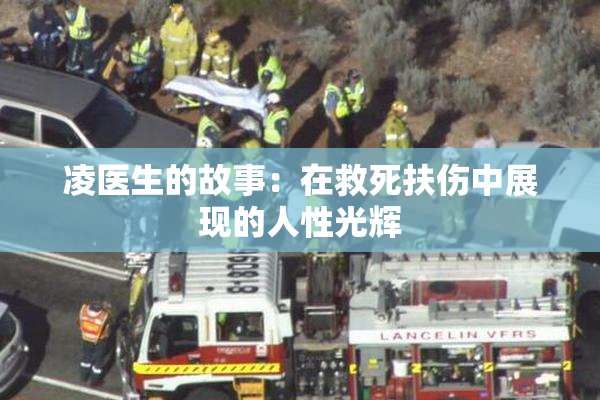 凌医生的故事：在救死扶伤中展现的人性光辉