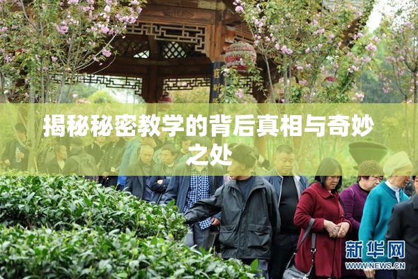 揭秘秘密教学的背后真相与奇妙之处