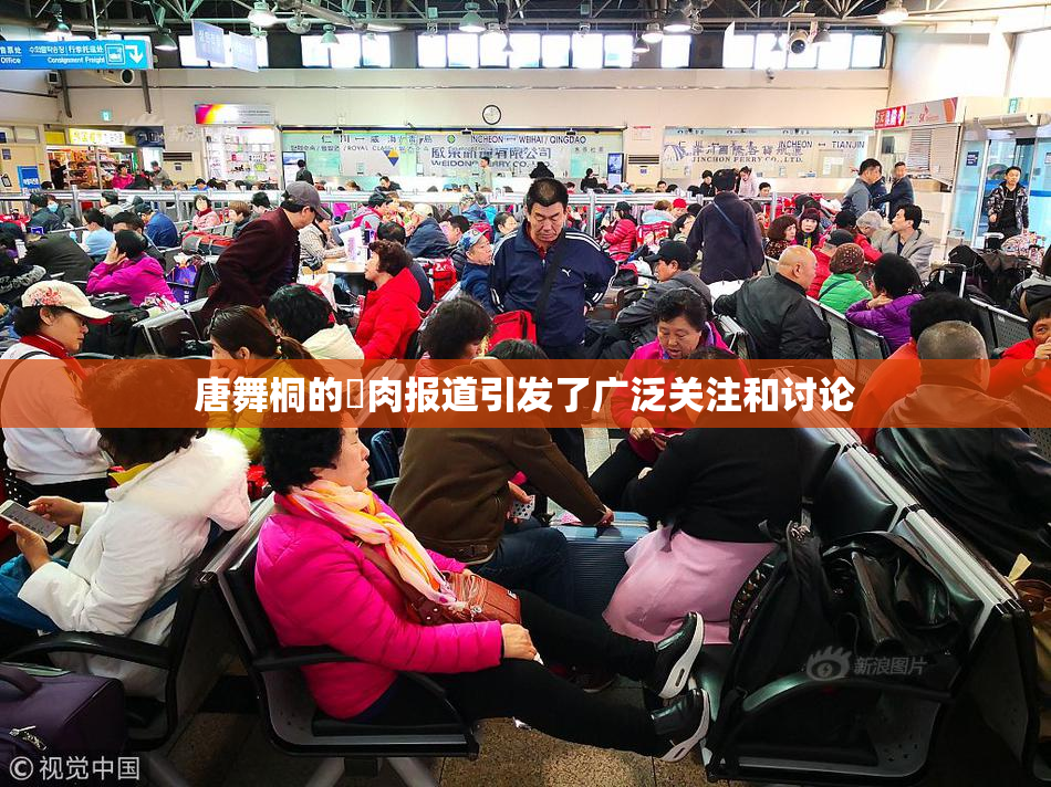 唐舞桐的婬肉报道引发了广泛关注和讨论