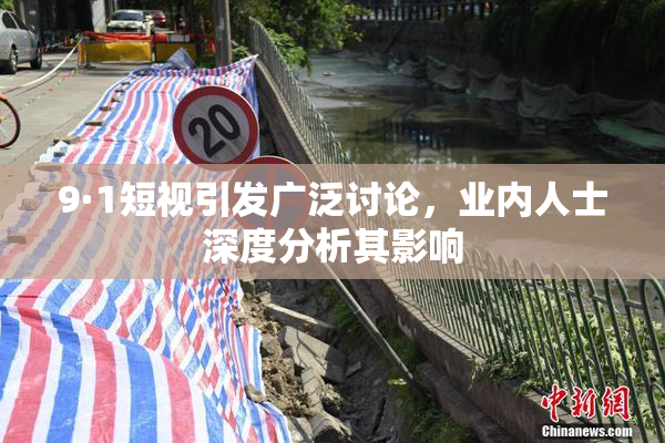 9·1短视引发广泛讨论，业内人士深度分析其影响