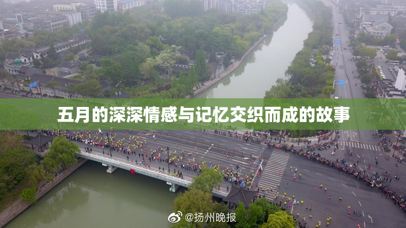 五月的深深情感与记忆交织而成的故事