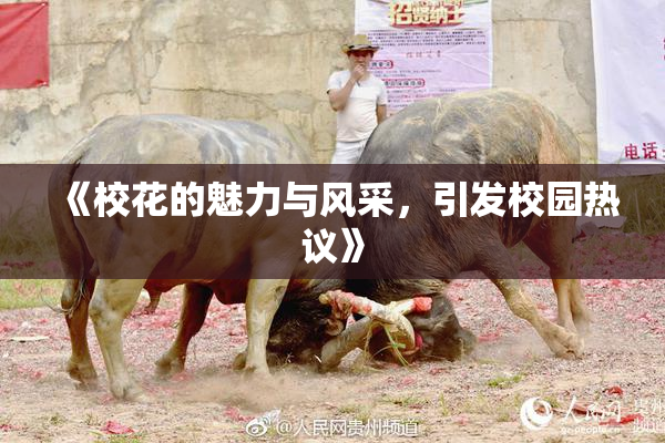 《校花的魅力与风采，引发校园热议》