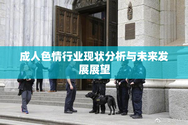 成人色情行业现状分析与未来发展展望
