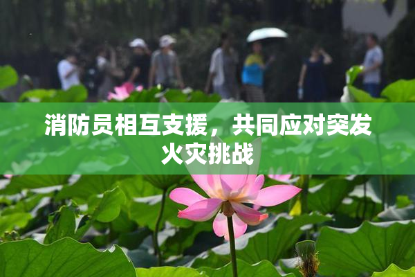 消防员相互支援，共同应对突发火灾挑战