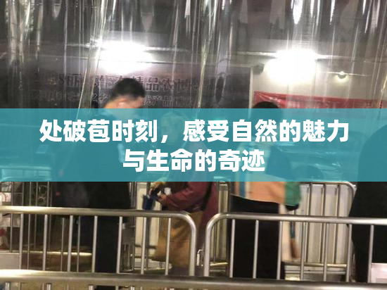 处破苞时刻，感受自然的魅力与生命的奇迹