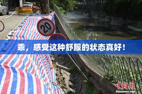 乖，感受这种舒服的状态真好！