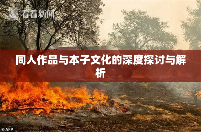 同人作品与本子文化的深度探讨与解析