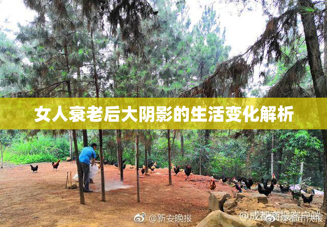 女人衰老后大阴影的生活变化解析