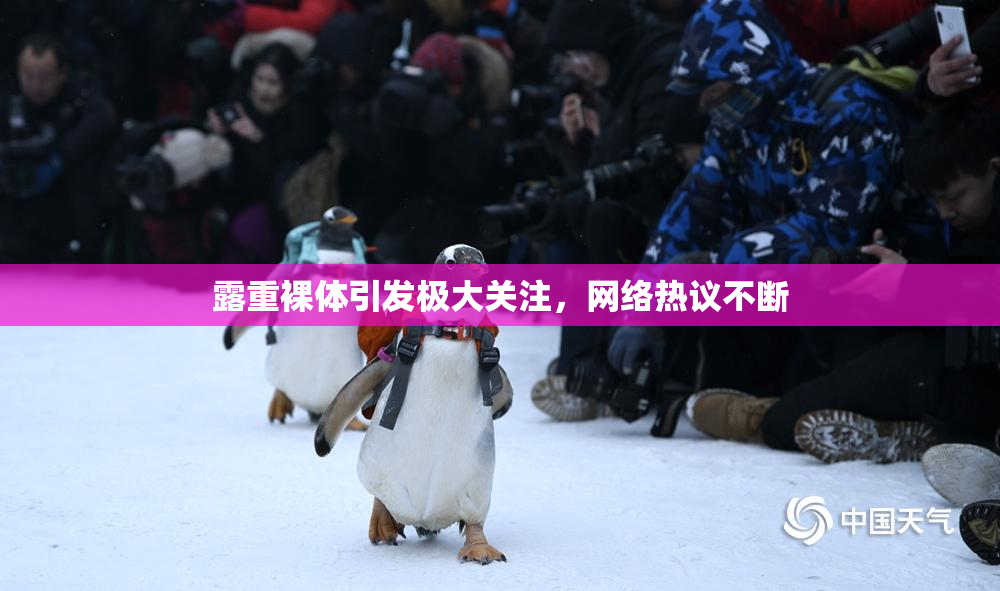 露重裸体引发极大关注，网络热议不断