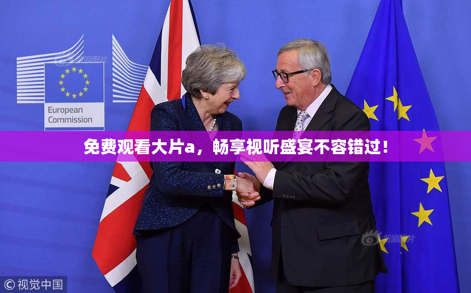 免费观看大片a，畅享视听盛宴不容错过！