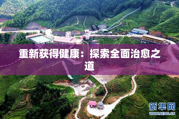 重新获得健康：探索全面治愈之道