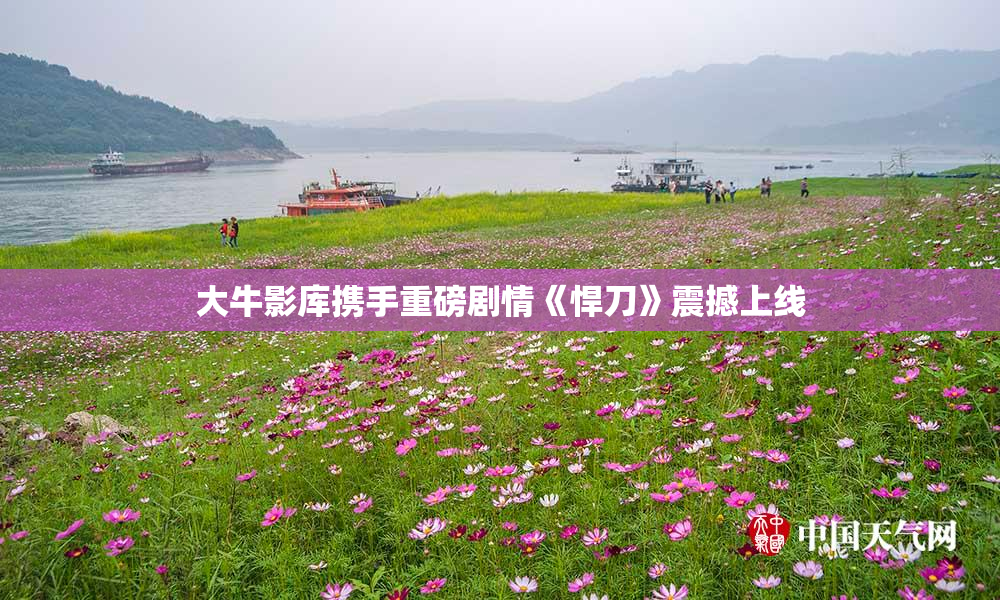 大牛影库携手重磅剧情《悍刀》震撼上线