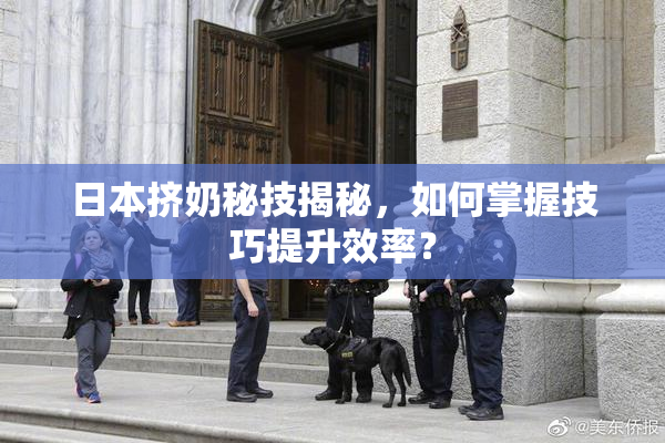 日本挤奶秘技揭秘，如何掌握技巧提升效率？