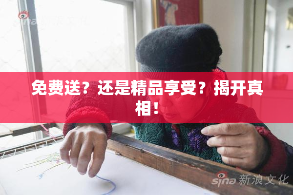 免费送？还是精品享受？揭开真相！