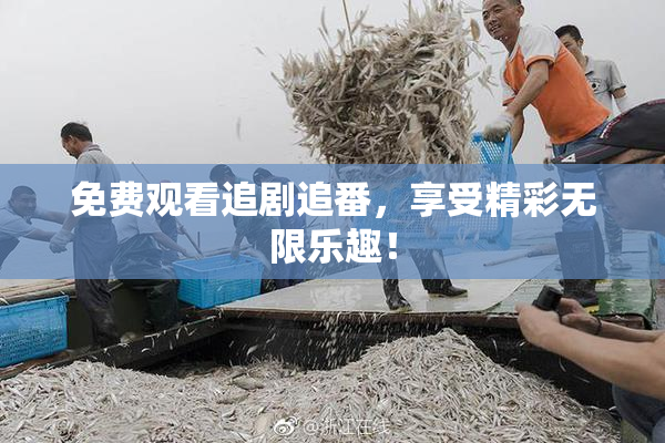 免费观看追剧追番，享受精彩无限乐趣！