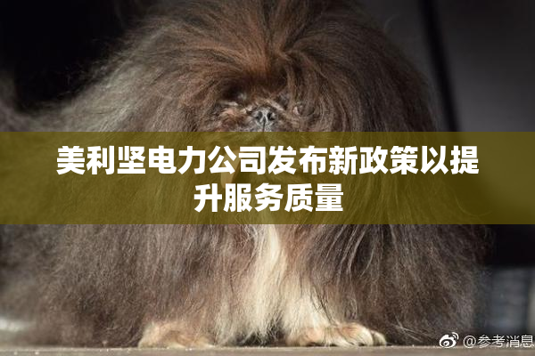 美利坚电力公司发布新政策以提升服务质量