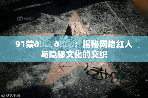 91禁🍆🍑：揭秘网络红人与隐秘文化的交织