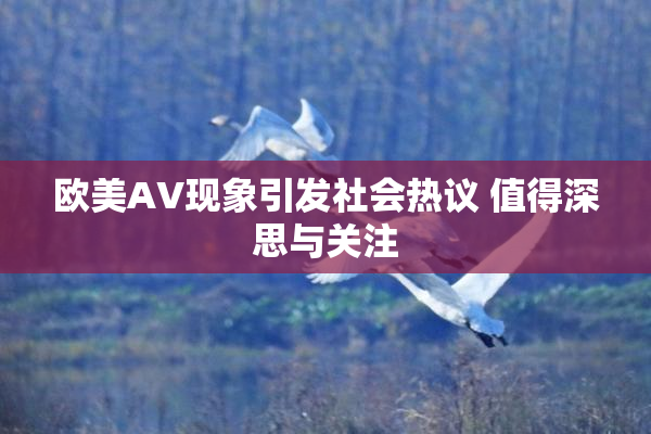 欧美AV现象引发社会热议 值得深思与关注