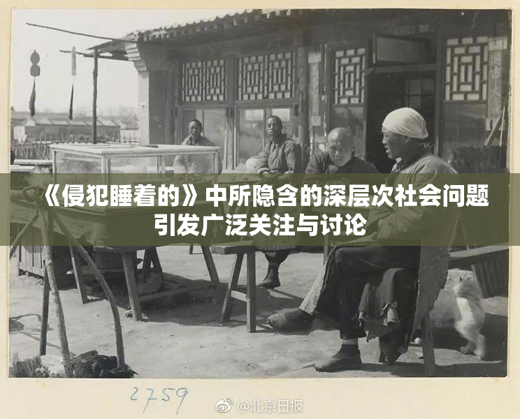 《侵犯睡着的》中所隐含的深层次社会问题引发广泛关注与讨论