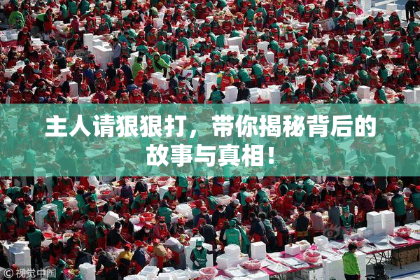 主人请狠狠打，带你揭秘背后的故事与真相！