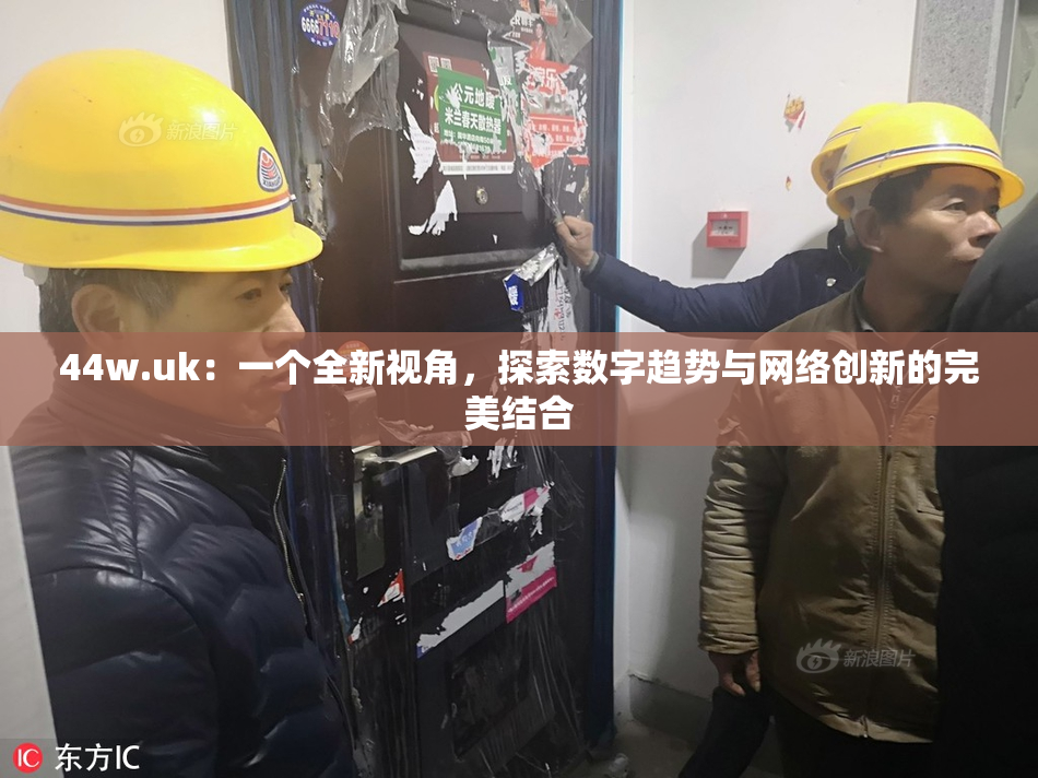 44w.uk：一个全新视角，探索数字趋势与网络创新的完美结合