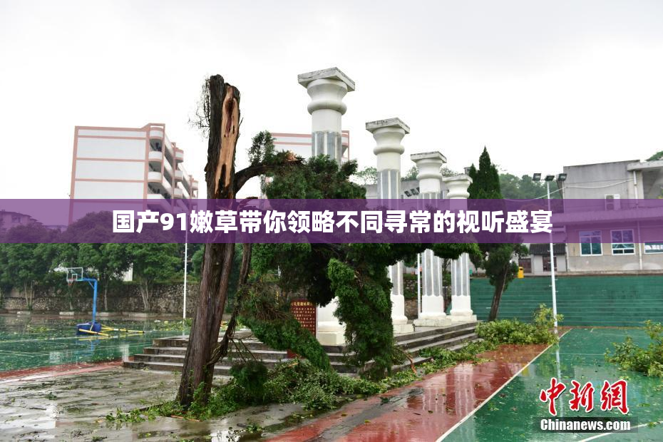 国产91嫩草带你领略不同寻常的视听盛宴