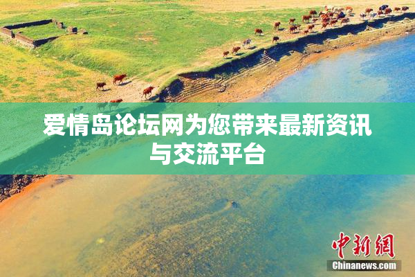 爱情岛论坛网为您带来最新资讯与交流平台
