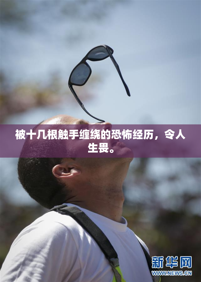 被十几根触手缠绕的恐怖经历，令人生畏。