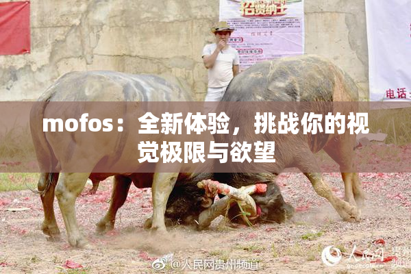 mofos：全新体验，挑战你的视觉极限与欲望