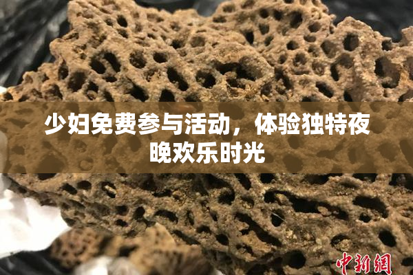 少妇免费参与活动，体验独特夜晚欢乐时光