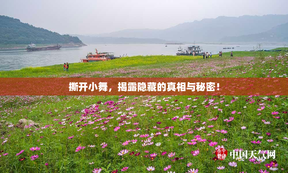 撕开小舞，揭露隐藏的真相与秘密！